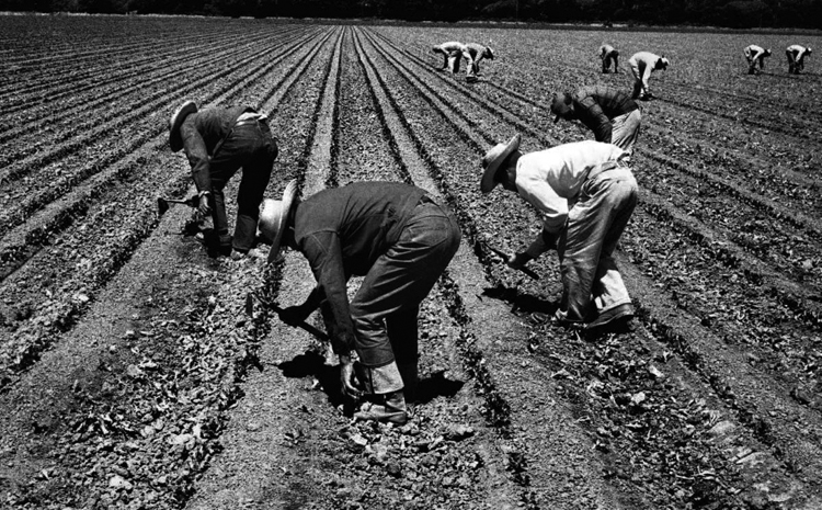 Trabajadores legales en Estados Unidos.