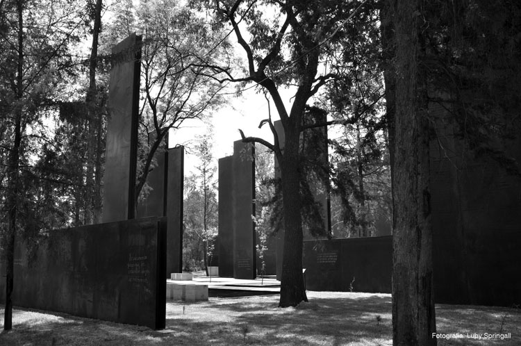 Agresión a las víctimas