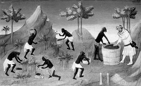 "La récolte du poivre à Coilun [Quilon]." From Le Devisement du monde ou Livre des Merveilles by Marco Polo (http://expositions.bnf.fr/marine/grand/fr_2810_084.htm)