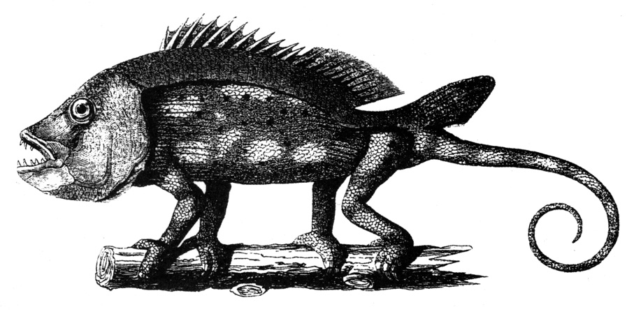 Ilustración del primer número de la nueva Memoria.