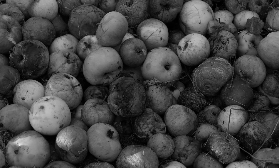 Problema de pocos (Foto: Adam Minter)