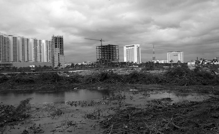 Hoteles vs manglares